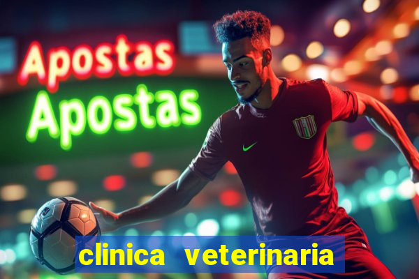 clinica veterinaria cuidar betim